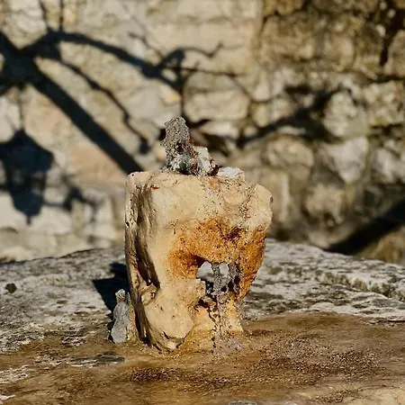 Bakicevo Čilipi