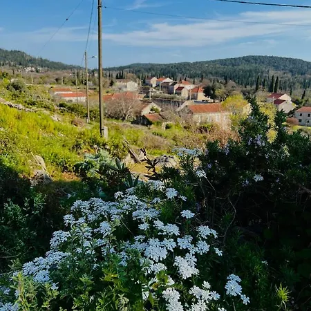Holiday home Bakicevo Cilipi